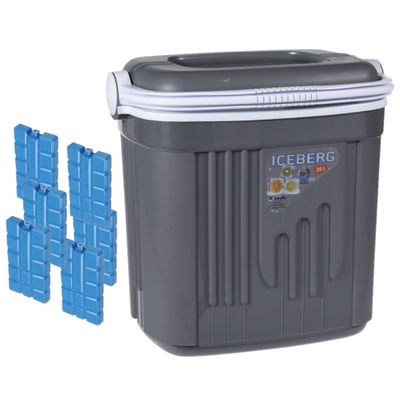 Voordelige normale grijze koelbox 20 liter met 6x normale koelelementen