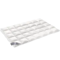 Vandyck Superior Dekbed Solo