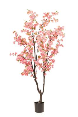 Cherry blossom tree pink 210 cm - Emerald