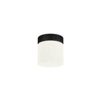 Nowodvorski Ø 10cm badkamer plafondlamp Cayo 8055