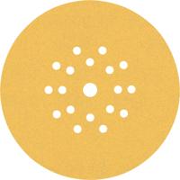 Bosch Accessoires Expert C470 schuurpapier voor excenterschuurmachines 225 mm, 19 gaten, K120 25-delig - 1 stuk(s) - 2608901150