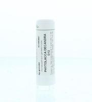 Homeoden Heel Phytolacca decandra D12 6 Gram