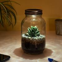Lichtgevend Terrarium