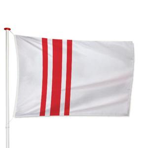 Vlag Oisterwijk