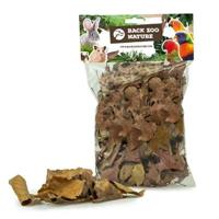 BACK ZOO NATURE DISCOVERY LEAVES