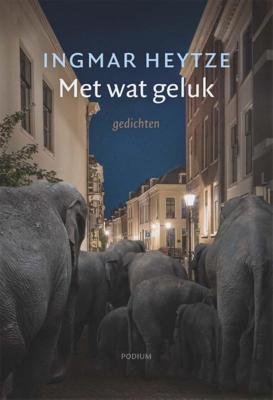 Met wat geluk (Paperback)