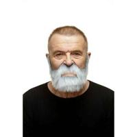 Valse baard My Other Me Grijs