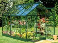 Popular 106, groen gecoat, tuindersglas 3mm - Royal well