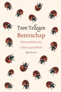 Beterschap (Hardback)
