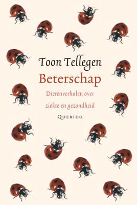 Beterschap (Hardback)