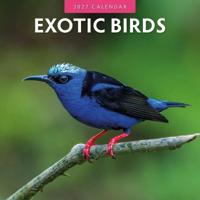 Exotic Birds Kalender 2027