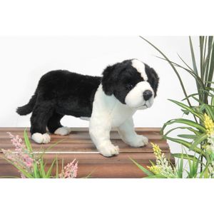 Hansa pluche Border Collie pup knuffel 39 cm