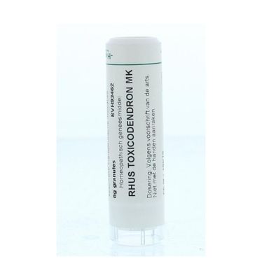 Rhus toxicodendron MK