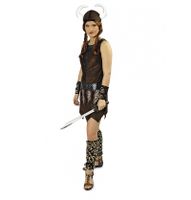 Viking Kostuum Freya Dames