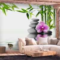 Zelfklevend fotobehang -  Water tuin  , Premium Print