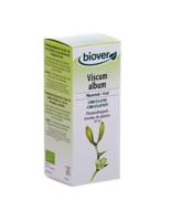 Biover Viscum album bio