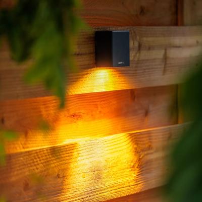 Tuinverlichting 12 Volt Tiga Wandlamp