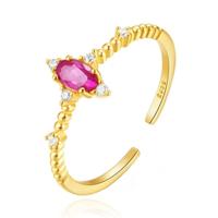 Stralende Elenza Zilveren Ring met Paarse Kristal - 18K Goud plating