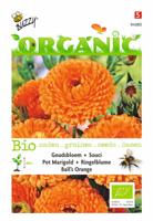 Organic Calendula, Goudsbloem Ball's Orange (BIO) - Buzzy