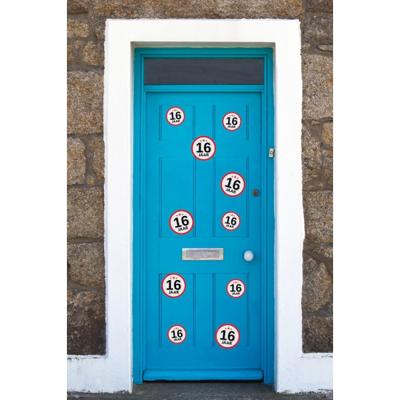 Verjaardag Leeftijd stickers pakket - 16 jaar thema - 10x stuks - 2 formaten - versiering Verjaardag Leeftijd stickers pakket - 16 jaar thema - 10x stuks - 2 formaten - versiering