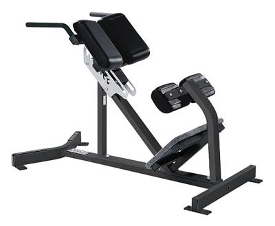 Hammer Strength Back Extension