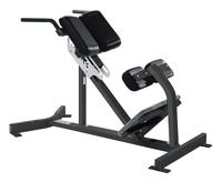 Hammer Strength Back Extension