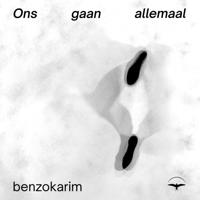 Ons gaan allemaal