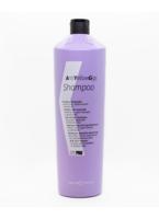 Kay Pro Anti Yellow Gigs Zilvershampoo 1000ml