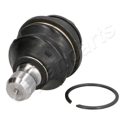 Fuseekogel BJ136