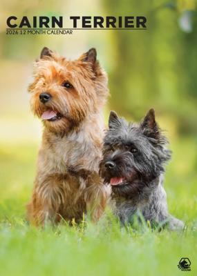 Cairn Terrier A3 Kalender 2026