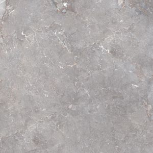 Tegelsample: Jabo Golden Age Grey vloertegel 80x80cm gerectificeerd