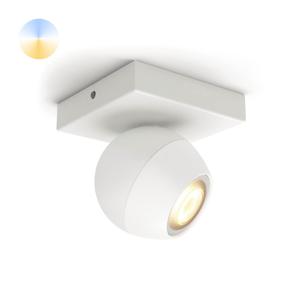 Philips Witte plafondspot Hue Buckram - White Ambiance 929003048401