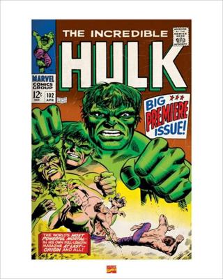 Kunstdruk Hulk 40x50cm