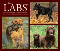 Labrador Retriever Scheurkalender 2026 Boxed