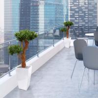 Podocarpus Bonsai deluxe kunstplant 65cm - UV bestendig