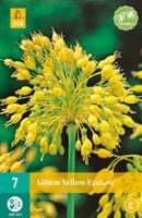 Allium yellow fantasy 7 bollen