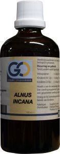 Alnus incana bio