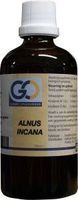Alnus incana bio