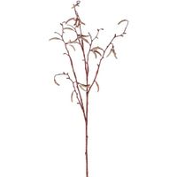 Bellatio flowers &amp; plants Kunsttak - berkenkatjes - 66 cm - betula pendula - decoratie takken   - - thumbnail