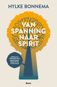 Van spanning naar spirit - Hylke Bonnema - ebook