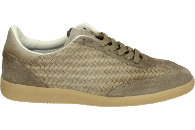 Giorgio 82106 - alle