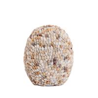Vaas Shell M