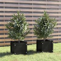 Plantenbakken 2 st 31x31x31 cm massief grenenhout zwart