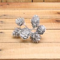 Bonbon doosjes - Chocolade doosje - Deko kerst dennenappels zilver