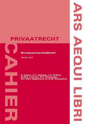Beroepsaansprakelijkhied (Paperback)