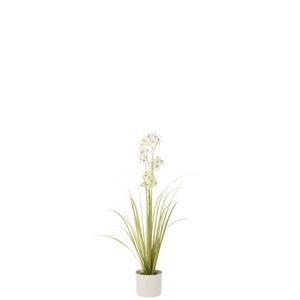 J-Line plant Allium In Pot - kunststof - groen|wit - small