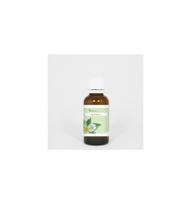 RGP016 Botten Regenoplex