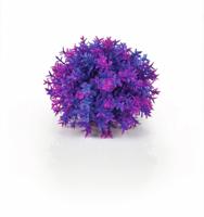 Decobol paars - Biorb