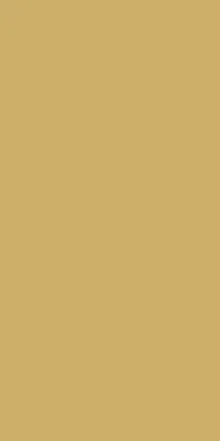 Duni dunisilk tafelkleed 138x220cm goud 1 stuks