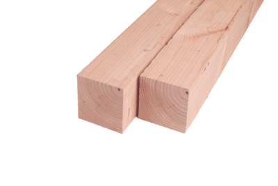 Paal douglas fijnbezaagd, 10 x 10 x 450 cm